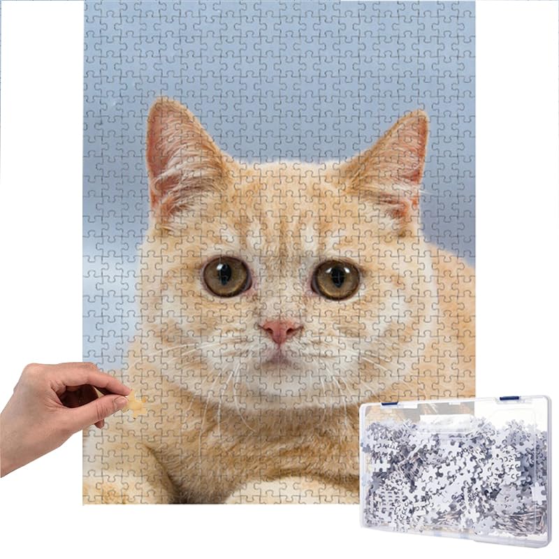 Handimake Personalized Puzzles from Photos 1000/500/300 PCS, Custom Jigsaw Puzzles from Photos, Create a Puzzle from a Picture, Customized Puzzle for Couple, Family, Wedding, Pet, Birthday Gift